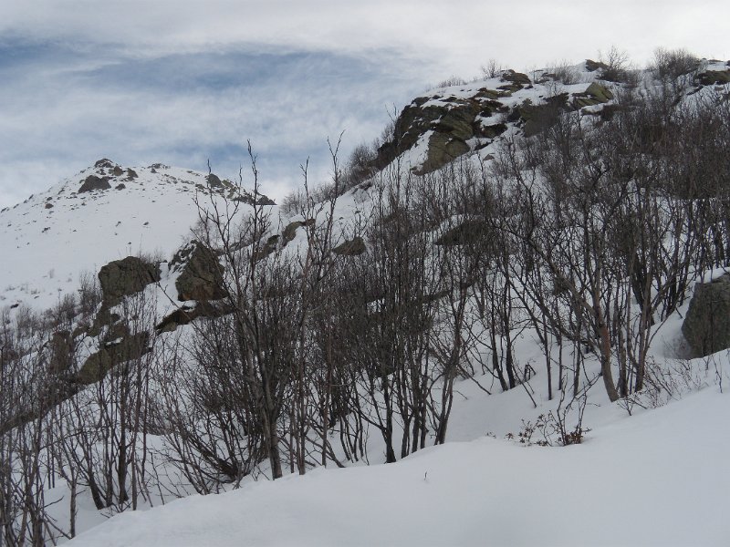 fine febbraio 2011 028.jpg